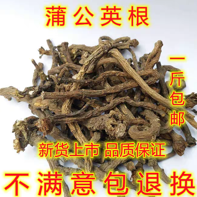 中药材野生蒲公英根500g 整根生根晒干  长白山婆婆丁根茶养生茶