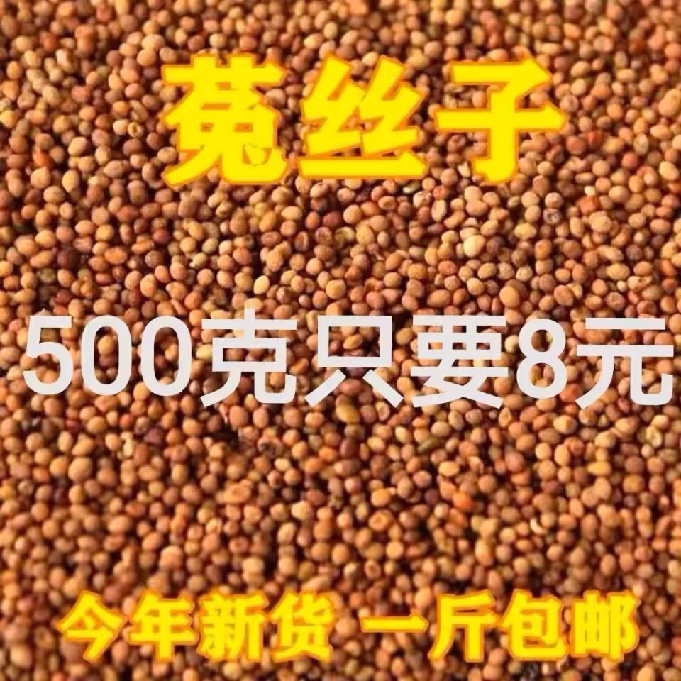 中药材批野生发菟丝子兔丝子内蒙菟丝子菟丝子茶新货500克包邮