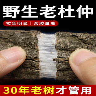 杜仲 杜仲皮略阳杜仲秦岭老树杜仲皮 可泡茶泡酒包邮500g包邮