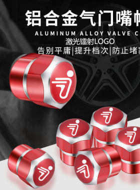 适用适用川崎异兽Versys650/1000/X300小火神VN650改装轮胎气门嘴