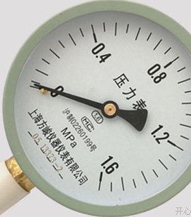 压力表径向压力表测自来水气压表0-0.6/1.0//2.5mpay1001.6
