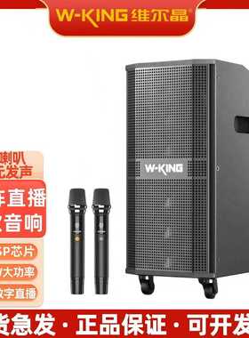 维尔晶K20pro360W大功率乐队演出音响广场级音量嗨唱路演蓝牙音箱