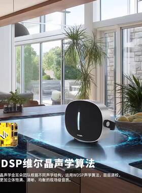 维尔晶T8II无线蓝牙音响手提低音炮轻奢风桌面音箱HiFi级低音炮