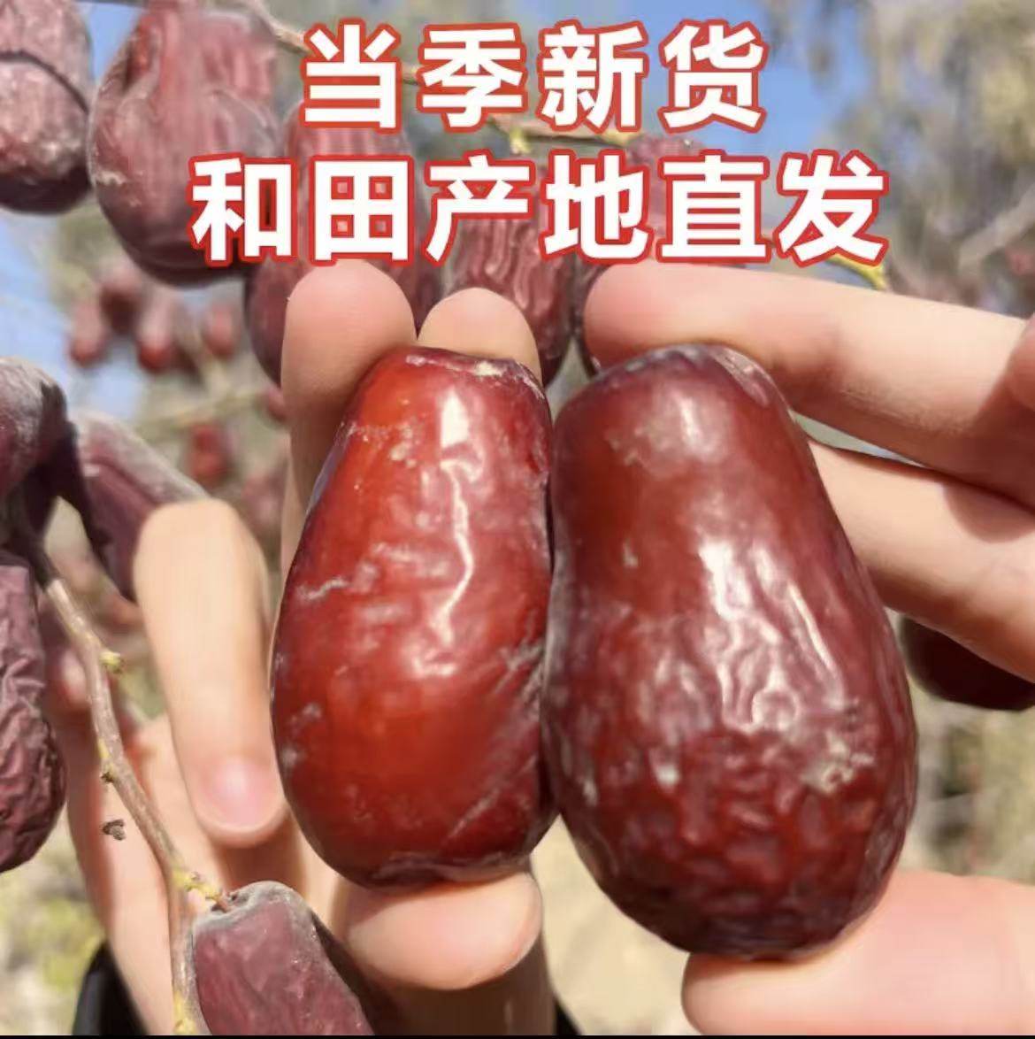 2025年新疆和田大枣树上成熟吊干精选果子泡茶煮粥零食新疆发货