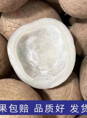 印度椰皇海底椰皇干椰子肉做甜品新鲜椰子鸡煲汤料火锅底料浓香