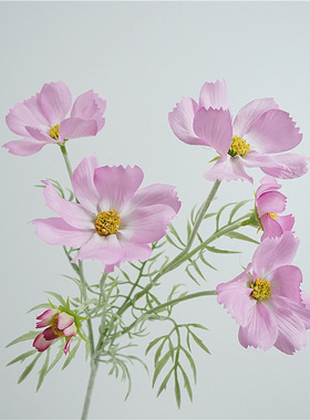 花艺家居装饰格桑花小清新