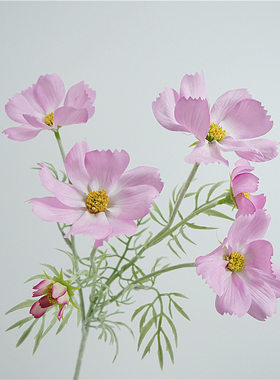 花艺家居装饰格桑花小清新