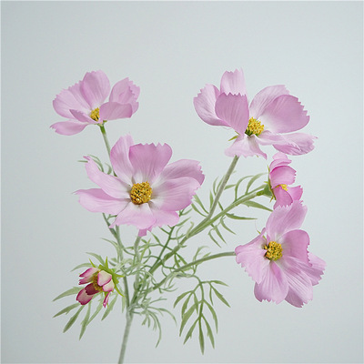 花艺家居装饰格桑花小清新