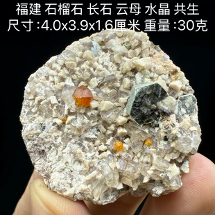 福建石榴石云母水晶共生天然矿物晶体矿石标本收藏观赏原石摆件1