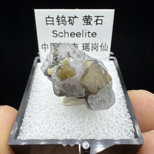 白钨矿萤石天然矿物晶体矿石标本收藏观赏原石摆件地质科普