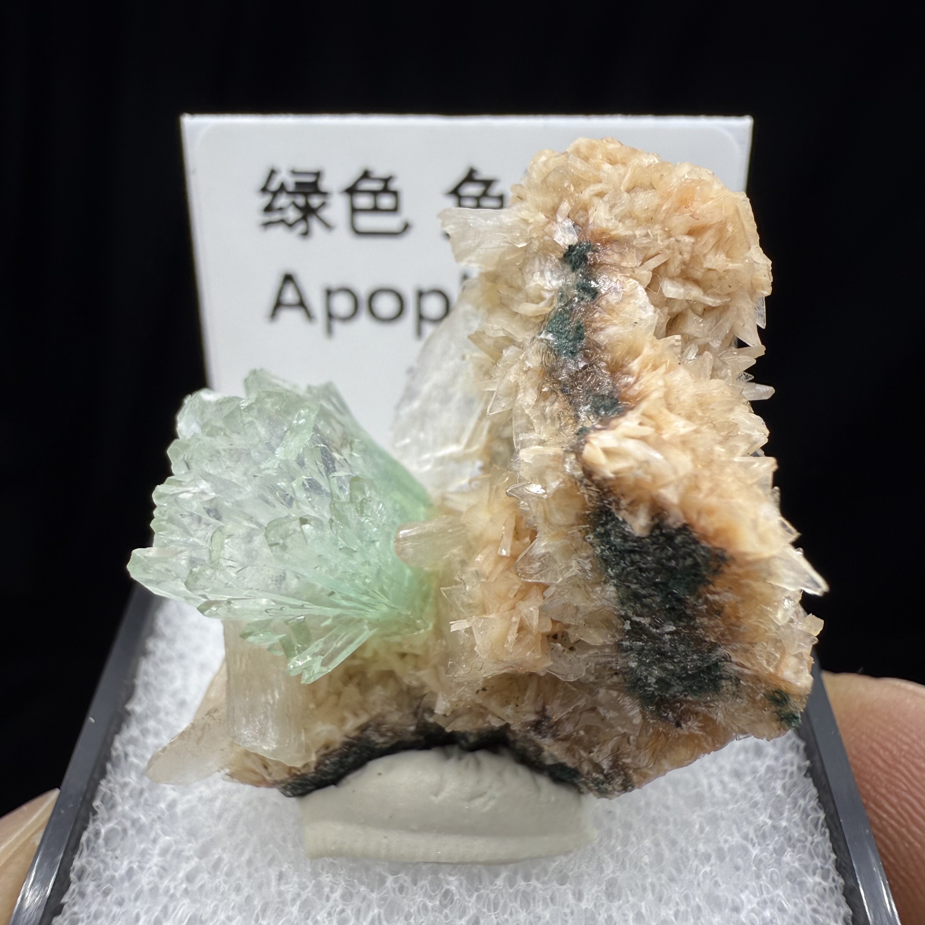 绿色鱼眼石天然矿物晶体矿石标本收藏观赏原石摆件优质盒子矿亚2