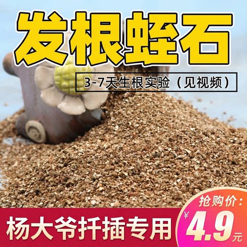 扦插生根蛭石月季三角梅通用基质