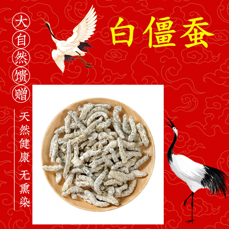 正品白僵蚕中药材僵蚕白僵蚕粉白僵虫天虫七子白非炒僵蚕干