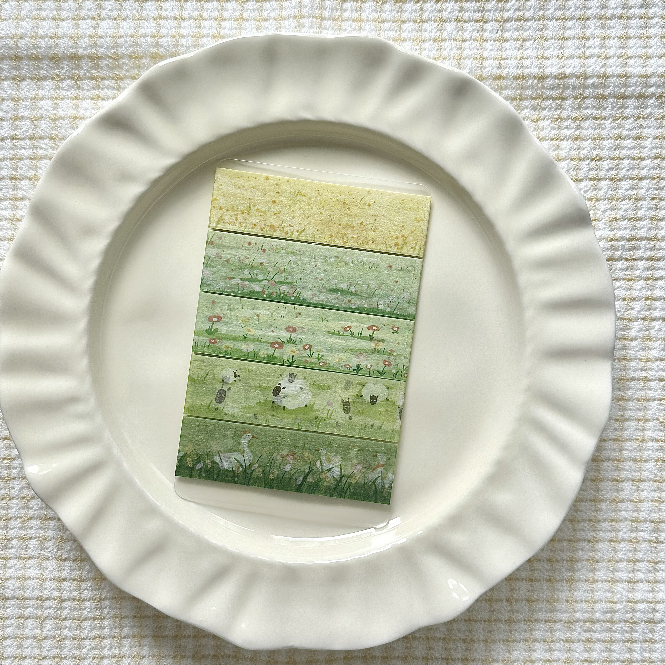 【至橘小铺】绿色系｜m5新手必入墨轩基础百搭盐系和纸手帐胶带