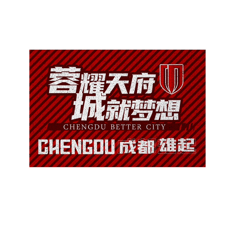 上海海港申花成都蓉城丝圈地垫