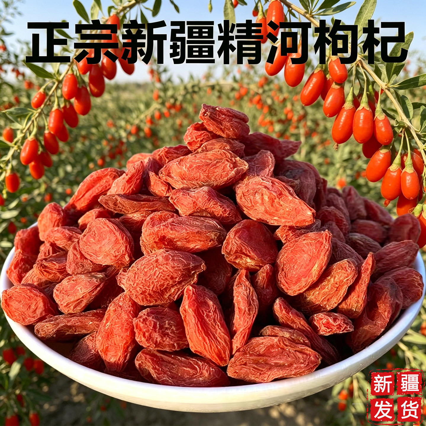 正宗新疆精河枸杞520g袋装大颗粒石杞河烘干干货保留全果营养