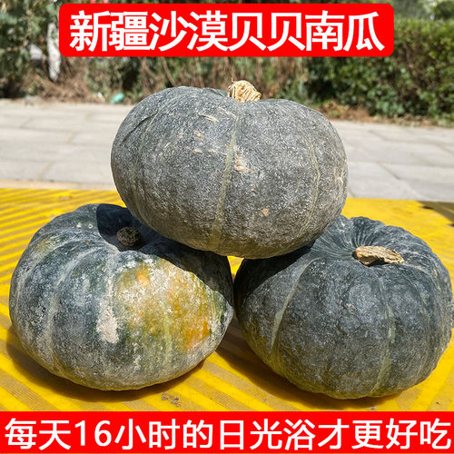 正宗新疆沙漠贝贝南瓜5斤包邮