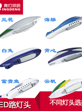 LED路灯头兰花海豚白兔云帆款路灯背心富贵鱼路灯户外60W100W150W