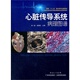 广东科学技术出版 姚青松 社 宋一璇 心脏传导系统病历图谱