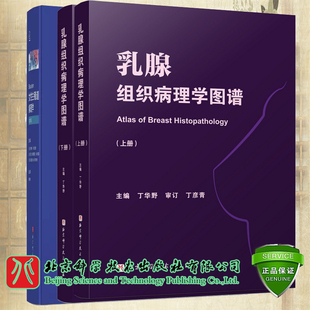 套装 3本Blaustein女性生殖道病理学第7版 乳腺组织病理学图谱上下册子宫颈癌及其他肿瘤子宫内膜良性病变输卵管及其周围组织疾病等