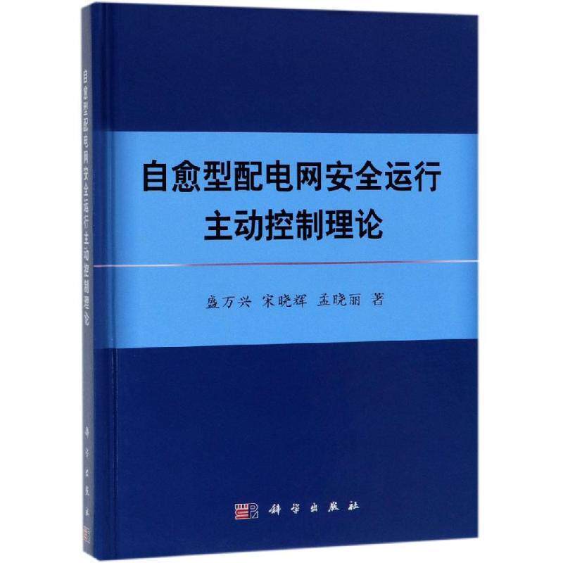 自愈型配电网安全运行主动控制理论 平脊精装 盛万兴 宋晓辉 孟晓丽 科学出版社 9787030602282