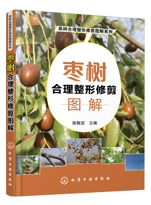 正版现货 果树合理整形修剪图解系列--枣树合理整形修剪图解 陈敬谊