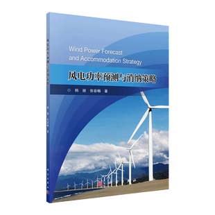 现货风电功率预测与消纳策略科学出版社