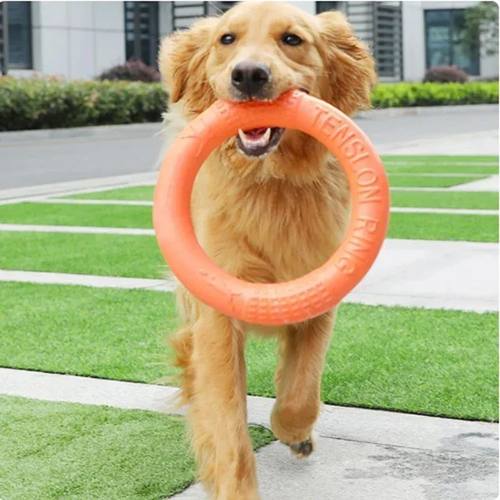 1pc Circle Dog Toy Pet Flying Disc Training Ring Puller EVA