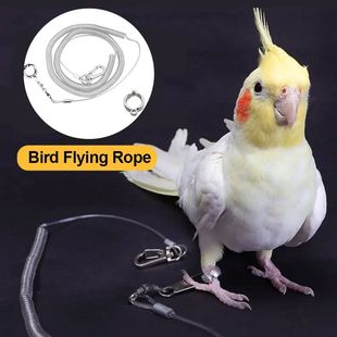Flexible Leash Parrot Bird Ultra Training Flying light