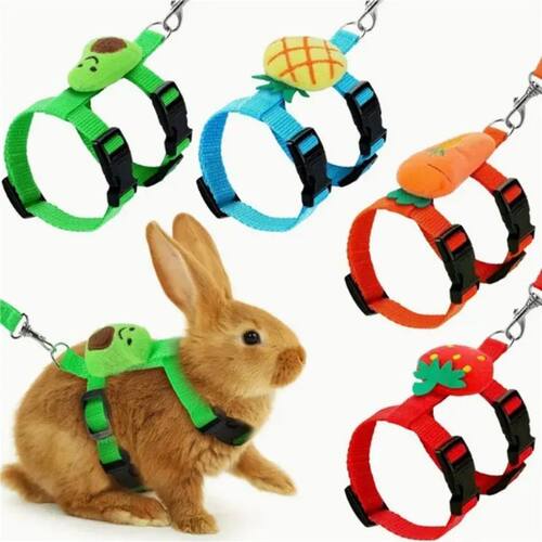 Rabbit Harness and Leash Set Adjustable for Small Animals Fe