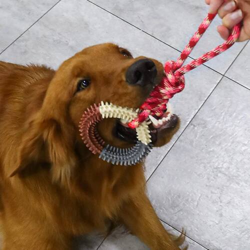 Dog Teeth Grinding Anti Bite Cotton Rope Toy Pet Colorful We