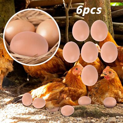 6/12PCS Hatching Egg Easter Hen Poultry Hatch Breeding Simul