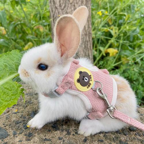 Cute Rabbit Harness Leash Set Bunny Soft Padded Dog Vest Sma