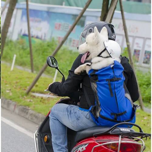 Hiking Pet Dog Carrier Travel Backpack Outdoor Ventilation B
