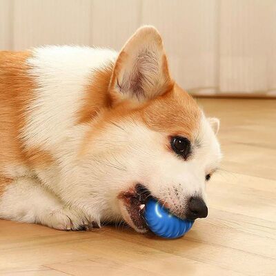 1pcs Automatic Moving Dog Toy Ball Smart USB Jumping Rotatin