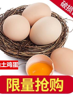 河南农家散养树林放养笨鸡蛋新鲜草鸡蛋固始特产宝宝孕妇50枚包邮