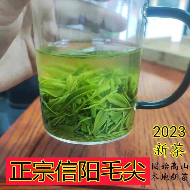信阳毛尖茶叶2024新茶明前固始高山本地浓香特级手工绿茶散装春茶