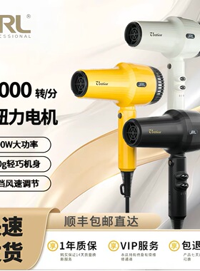 JRL2025L吹风机发型师专用吹风快速吹干造型两用负离子大功率风筒