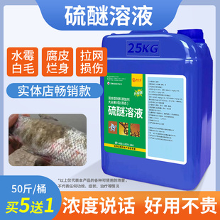 硫醚沙星水产养殖鱼药水霉白毛病腐皮烂鳃烂尾鱼水霉净水霉病专治