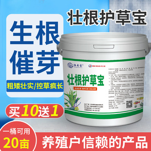 壮根护草宝水产养殖草力壮水草颗粒肥虾蟹塘肥水素活草增量促生长