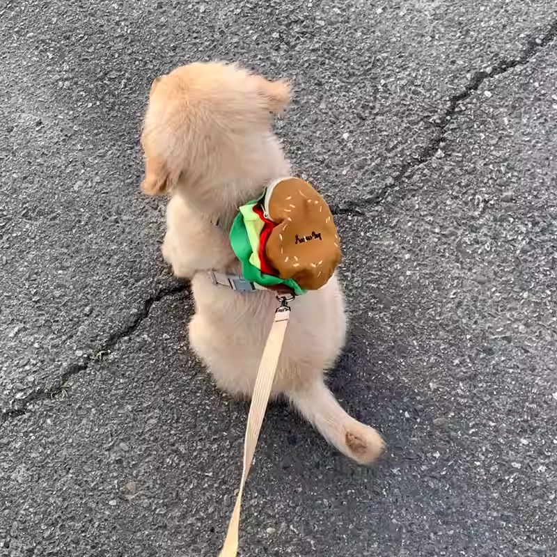小狗狗牵引遛狗绳小型犬幼犬中型犬防挣脱超长可爱汉堡宠物胸背带,宠物/宠物食品及用品,背包/箱包,淘宝优惠券,粉丝福利购,淘宝优惠卷