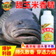 食宴浓缩甜玉米香精钓鱼专用食品用精油野钓饵料小药果酸鱼饵诱鱼