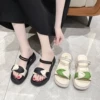 Товары от wjz旗舰店