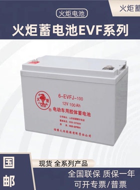 火炬蓄电池6V8V12V观光巡逻车电动蓄电瓶用免维护蓄电电池3EVF200