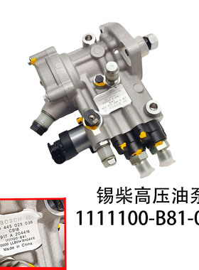 锡柴4DW93发动机高压油泵1111100-B81-0000国四国五电喷高压油泵