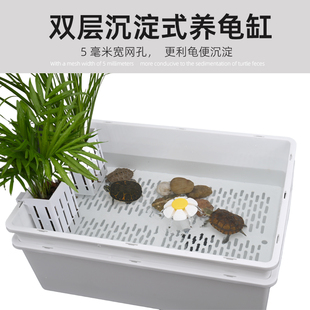 乌龟发色盒龟盆小青龟缸蛋龟缸龟便分离龟缸双层沥水龟缸懒人龟缸