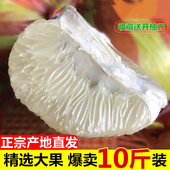 包邮 湖南怀化安江雪峰冰糖柚小苦柚雪峰柚药柚子蜜柚 特大果