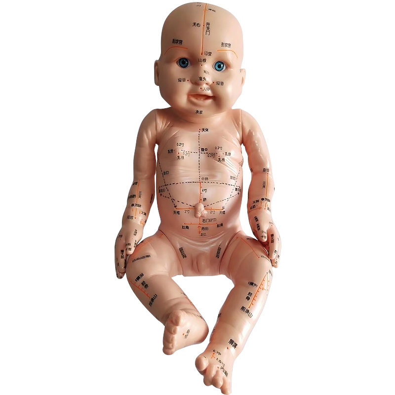 小儿推拿模型娃娃带穴位图宝宝小孩人体经络练习按摩教材