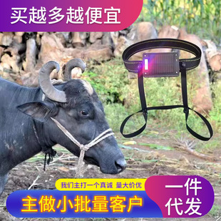 gps牛羊定位器山区智能放牧太阳能防水卫星骆驼马牛动物追踪j