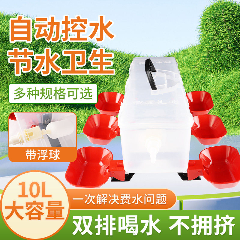 鸡用自动饮水器家禽鹌鹑饮水碗自动喂水器小雏鸡鸽子喝水桶壶